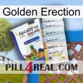 Golden Erection 11